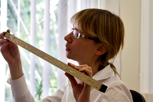 Обучение дилеров Санкт-Петербурга и Лен.области